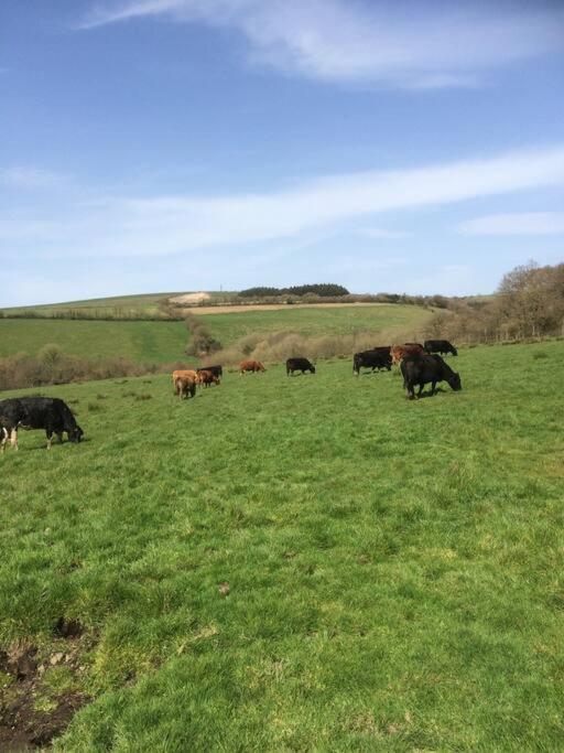 Farmer Bob'S Farmhouse Barnstaple Ngoại thất bức ảnh